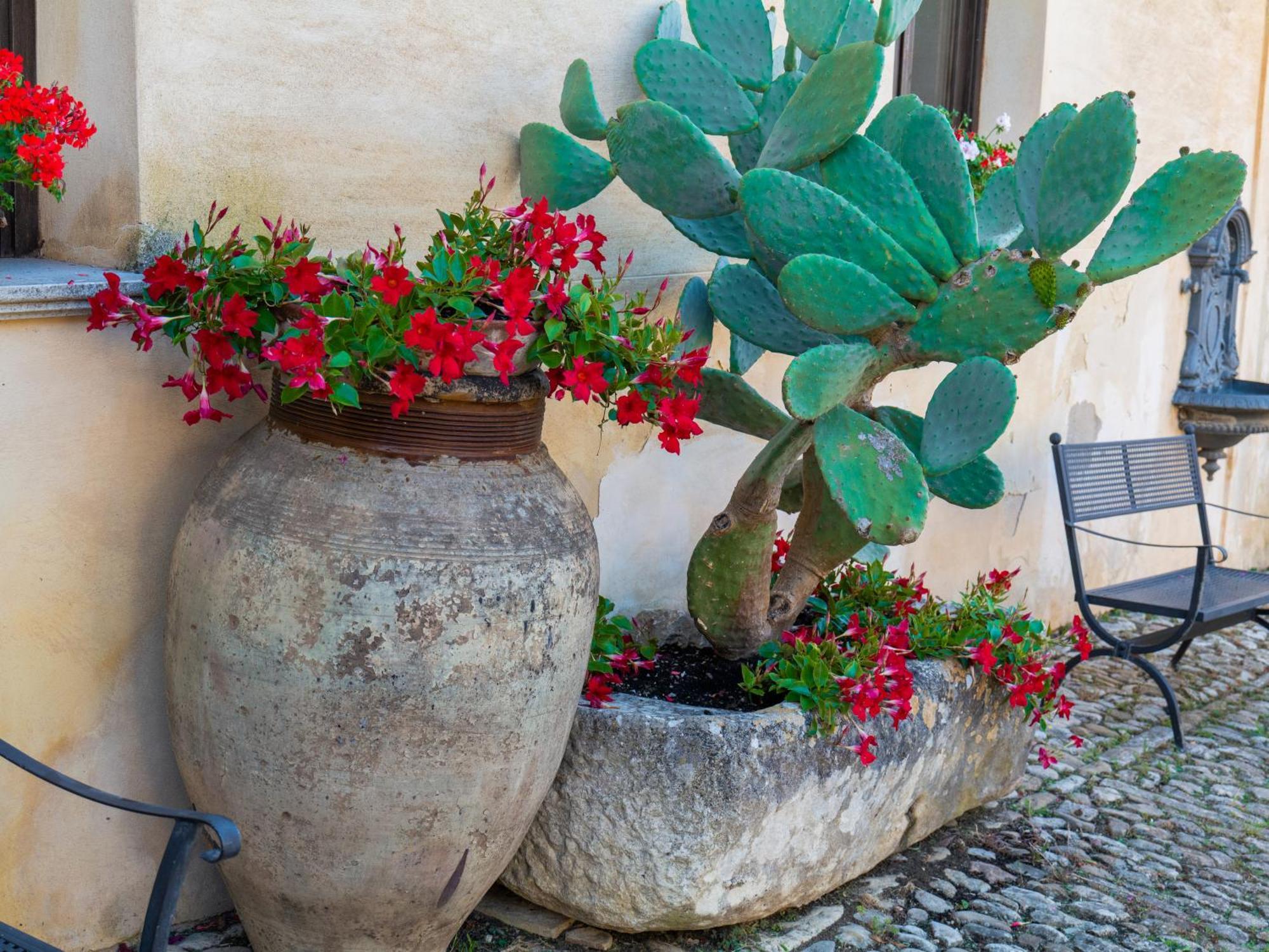 Agriturismo Baglio Fontana Buseto Palizzolo Exterior photo